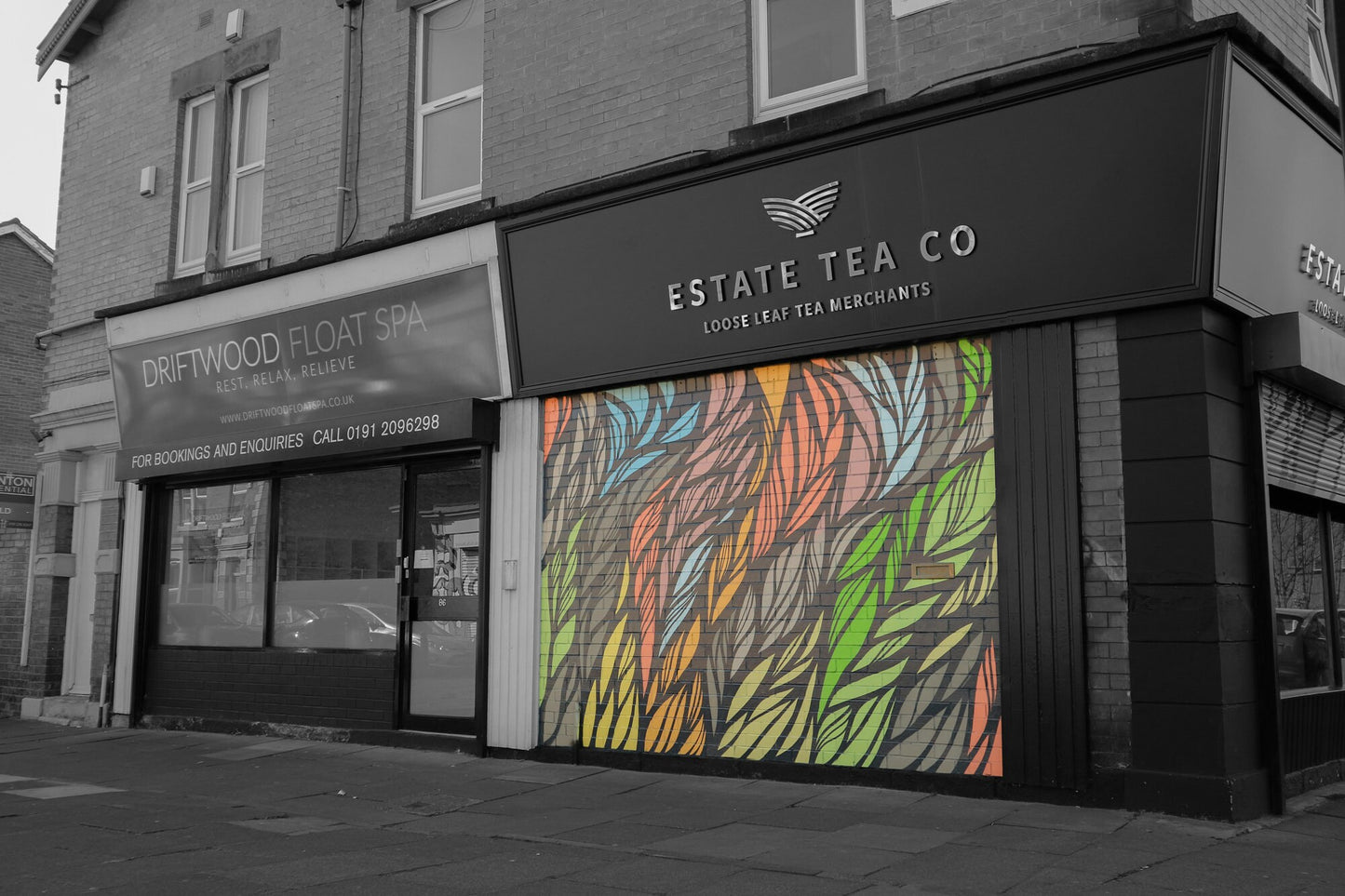 Tealeafs - cool wall art, prints, inspired by nature, brights colours, tea leafs