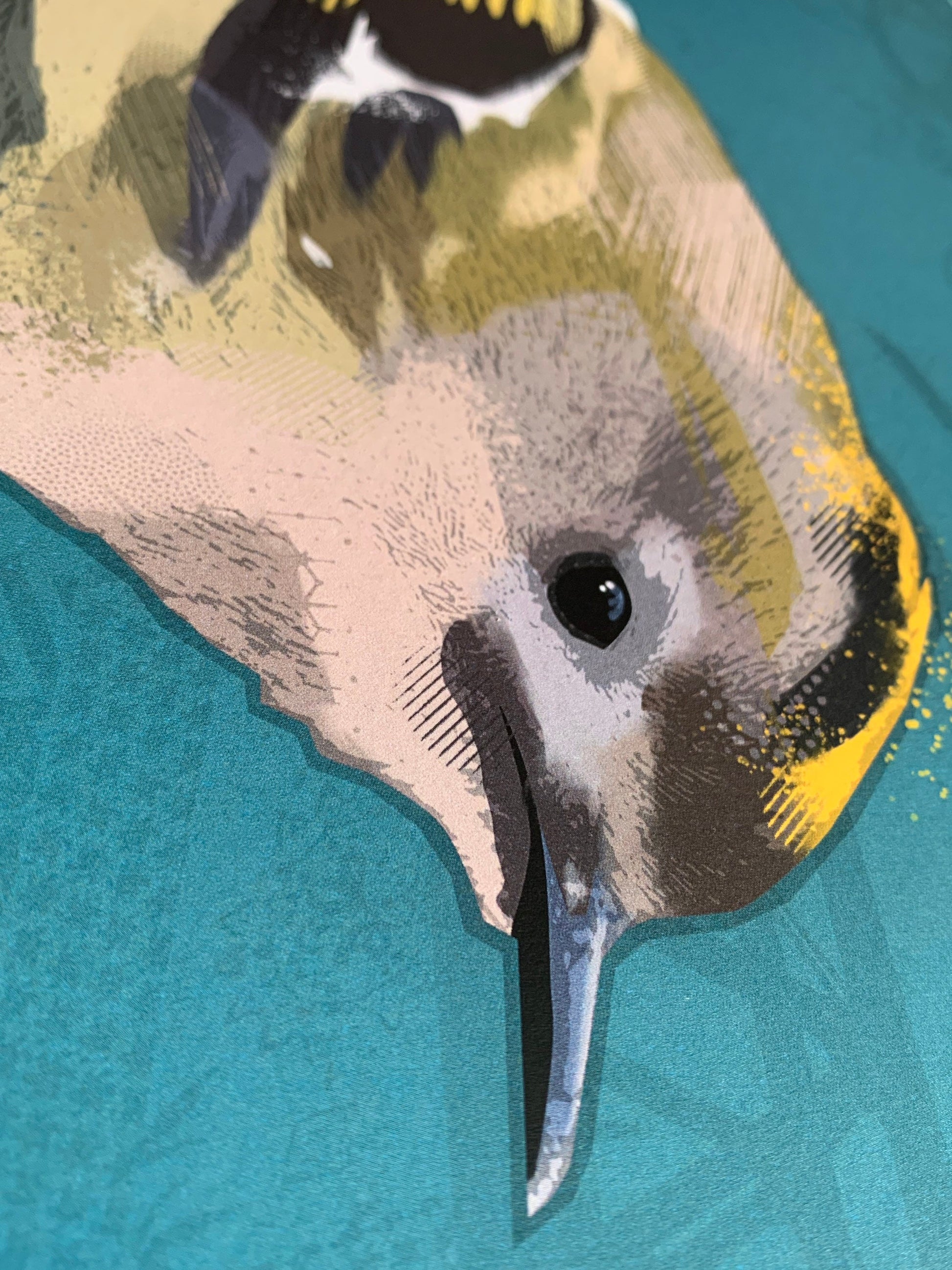 Goldcrest Print, Sneakers, Cool Bird Art, Cool Bird print, British Birds, Bird Print, Bird illustration, Bird Art, Ornithology, wall art