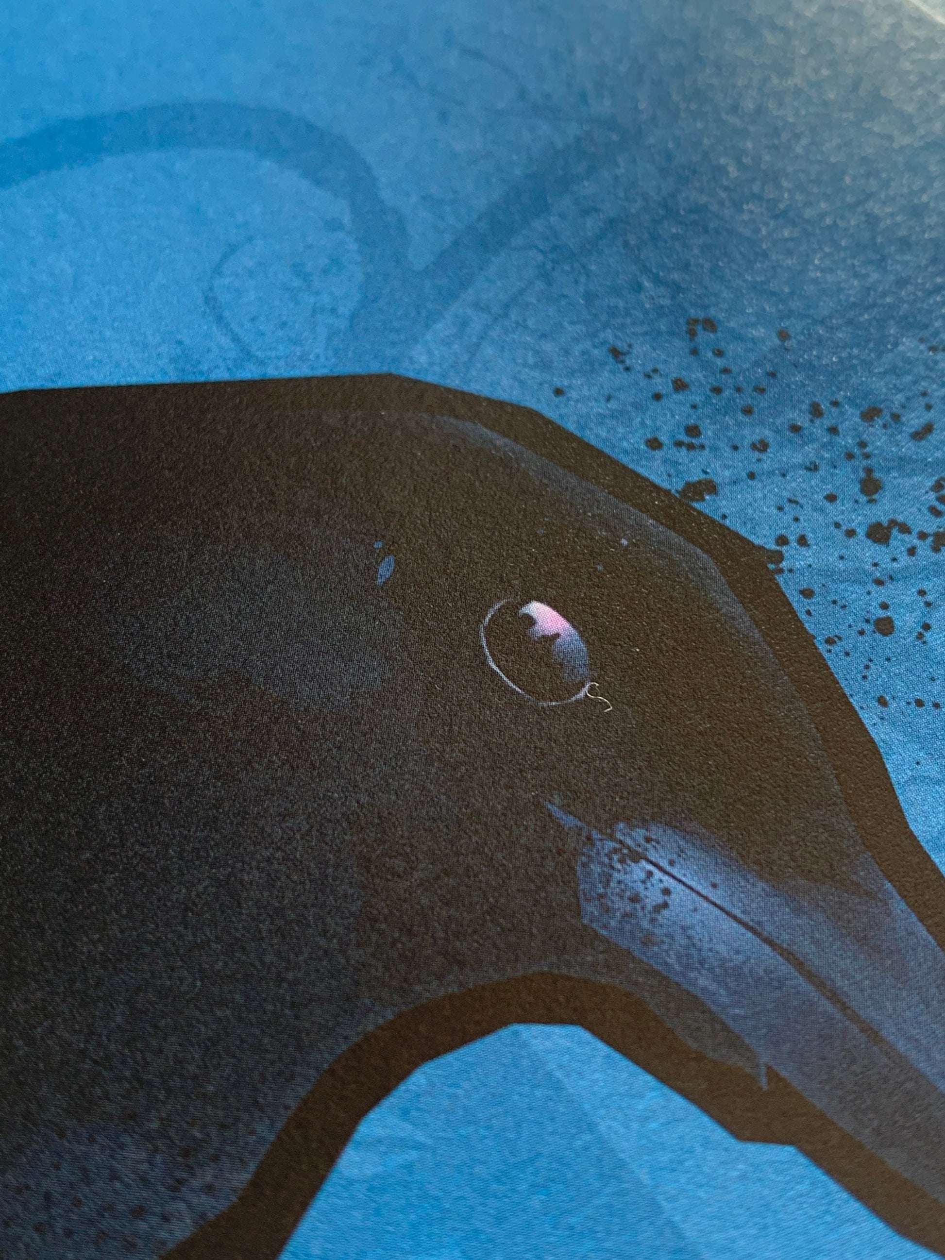 Magpie, Cool Bird Art, Cool Bird print, British Birds, Bird Print, Geordie, Bird illustration, Bird Art, Ornithology, wall art, Newcastle