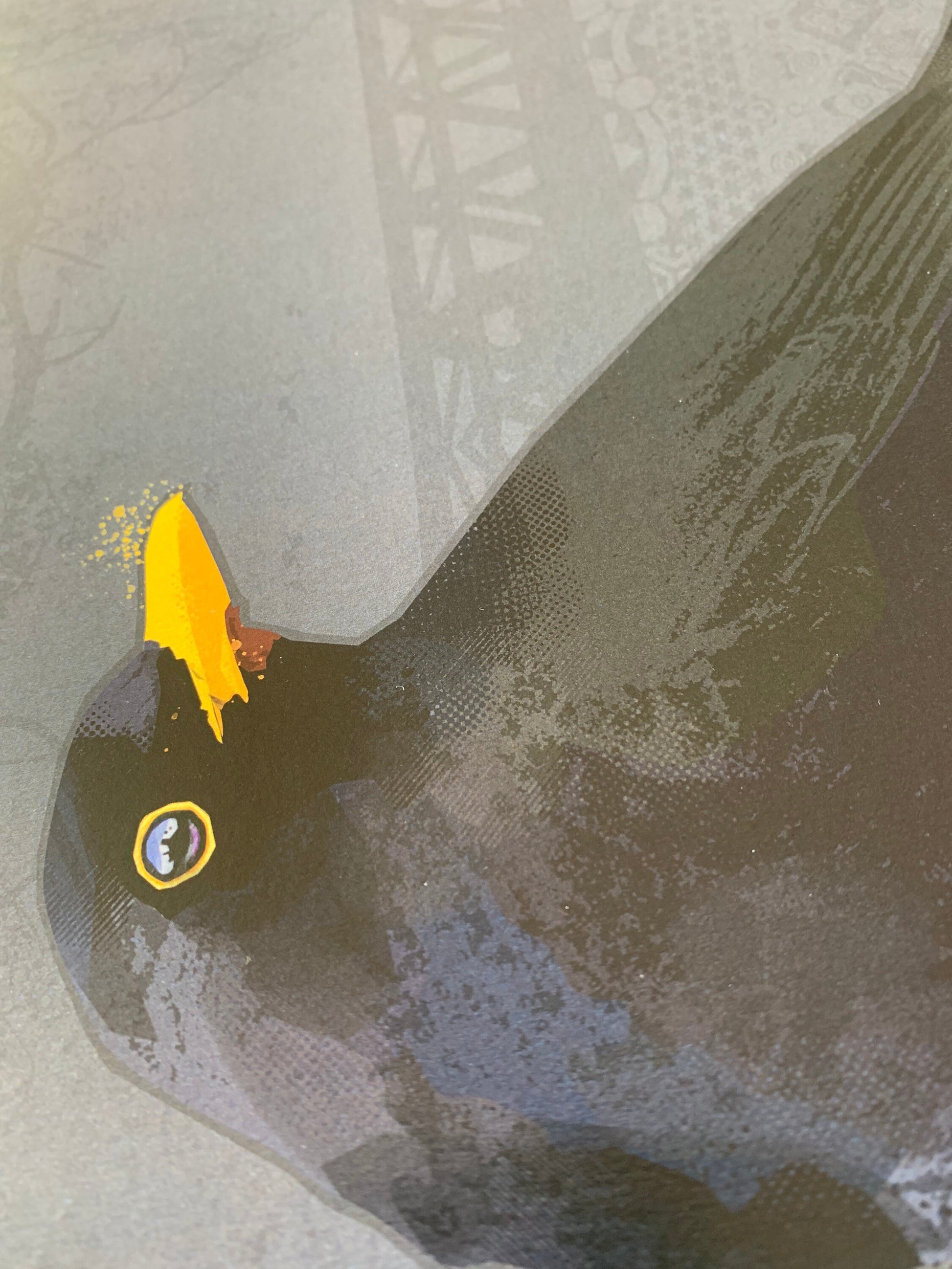 A3 Blackbird Print, British Birds, Bird Print, Bird illustration, Bird Poster, Bird Art, Ornithology, Sneakers Print, wall art, Trainers Art