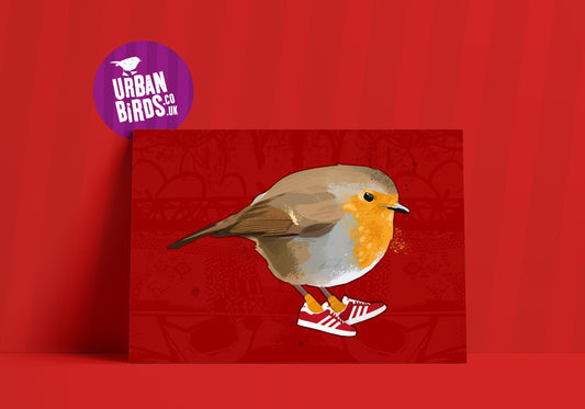 Robin Redbreast, Cool Bird Art, Cool Bird print, British Birds, Bird Print, Bird illustration, Bird Art, Ornithology, wall art, sneakerfreak