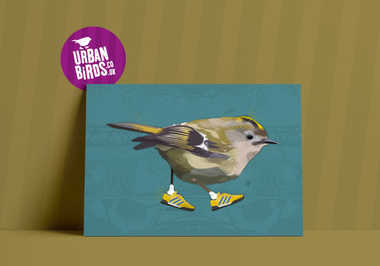 Goldcrest Print, Sneakers, Cool Bird Art, Cool Bird print, British Birds, Bird Print, Bird illustration, Bird Art, Ornithology, wall art