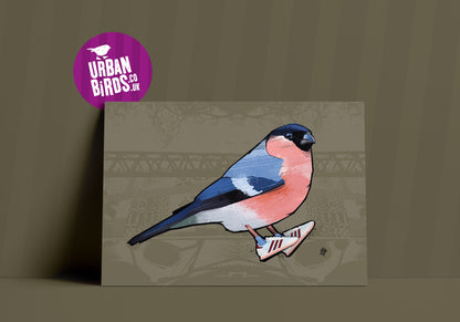 A3 Bullfinch Print, British Birds, Bird Print, Bird illustration, Bird Poster, Bird Art, Ornithology, Sneakers, Trainers, gifts for him