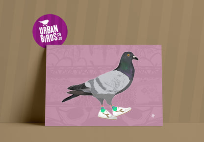 Funky Pigeon Print, UK Birds, British Birds, Bird Print, Bird illustration, Bird Poster, Cool Bird Art, Ornithology, wall art