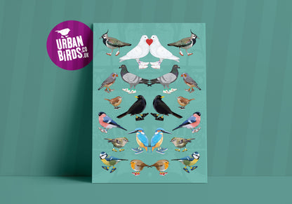 Urban Bird Multi Print: quirky bird wall art, british bird art, beautiful nature gift ideas